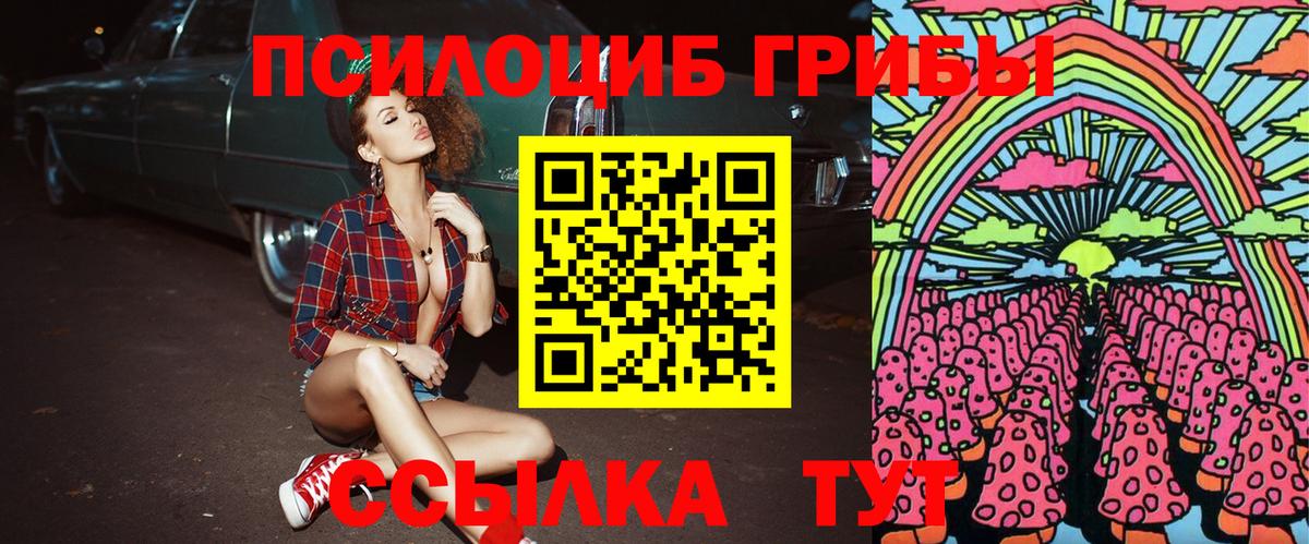 Галлюциногенные грибы Psilocybe  Вход с VPN  Уссурийск 